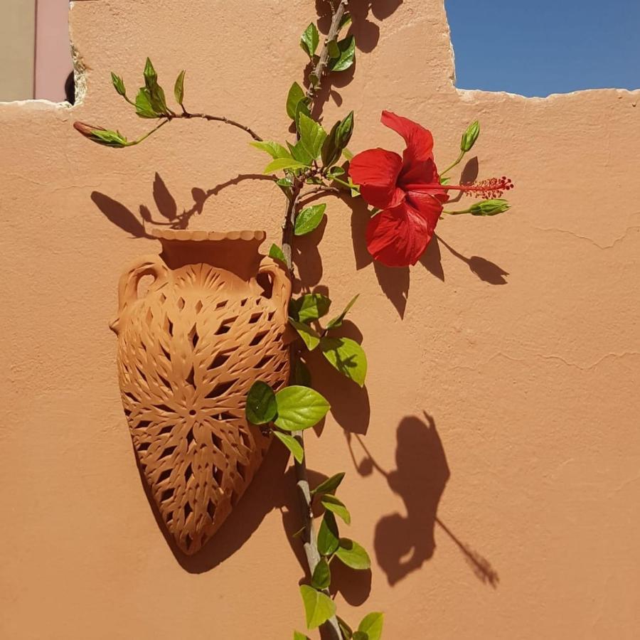 Chambres D'Hotes Les Amis Taroudant Dış mekan fotoğraf